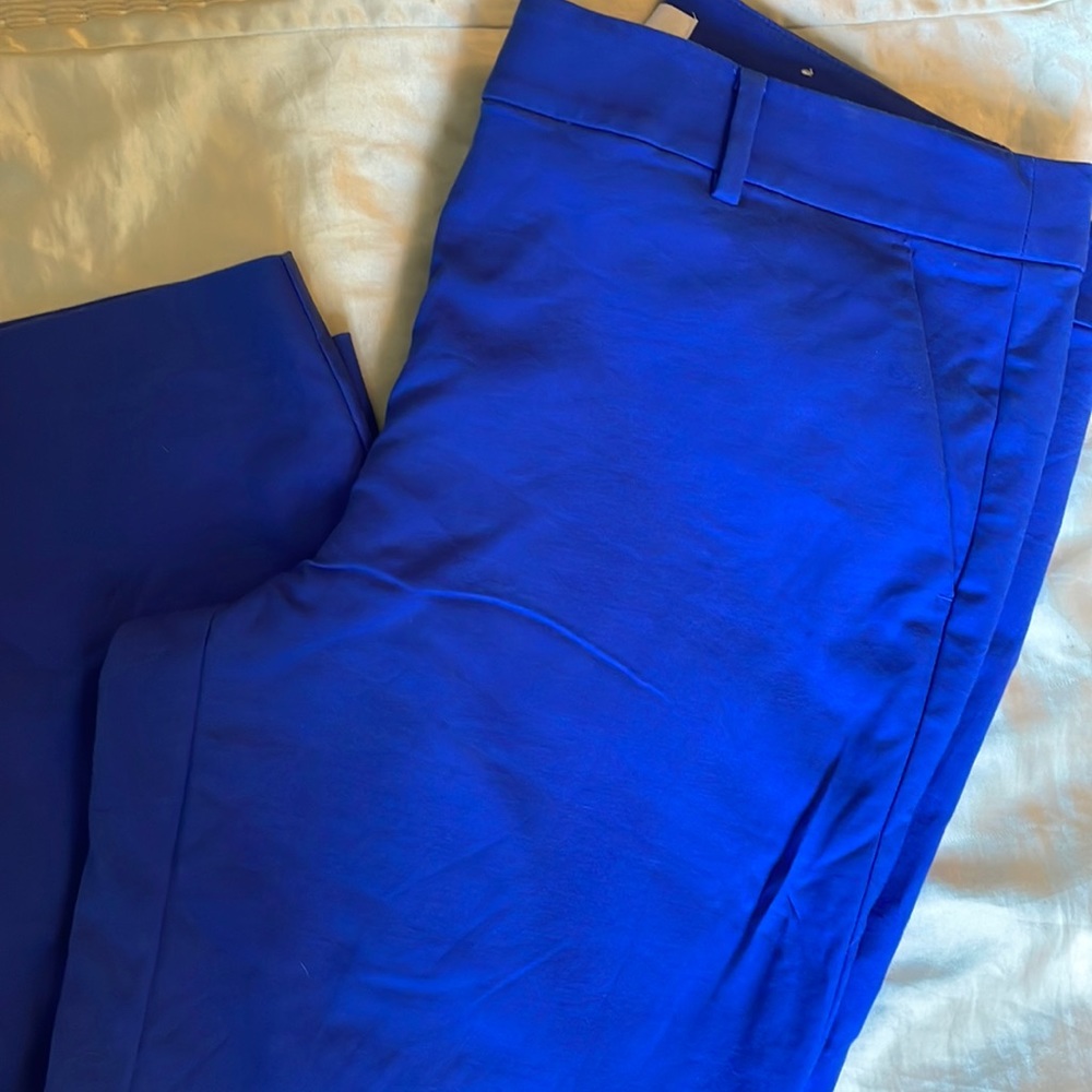 LOFT blue ankle pants